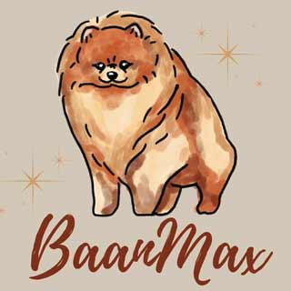 BaanMax Pet Resort เชียงรายน้องหมาพักได้
