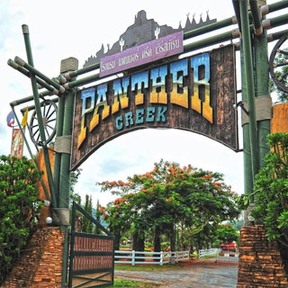 Panther Creek เขาใหญ่น้องหมาพักได้