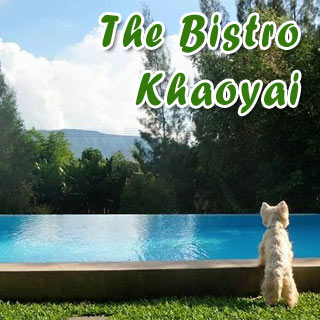 The Bistro Khaoyai น้องหมาพักได้