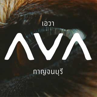 เอวา กาญจนบุรี น้องหมาพักได้