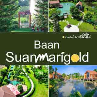 บ้านสวนมาลีโกลด์ กำแพงเพชรน้องหมาพักได้