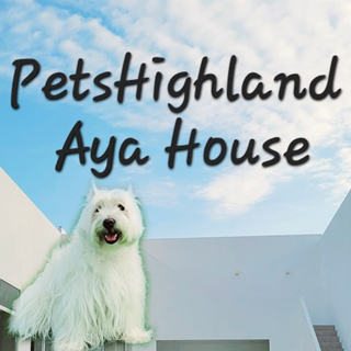 PetsHighland Aya House หมาพักได้ ชะอำ