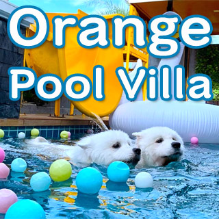 Orange Pool Villa ชะอำน้องหมาพักได้