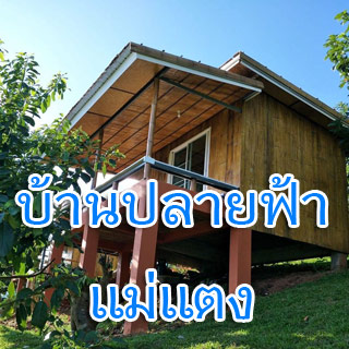 บ้านปลายฟ้าโฮมเสตย์ เชียงใหม่น้องหมาพักได้