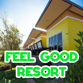 Feel Again Resort น้องหมาพักได้ ปากช่อง