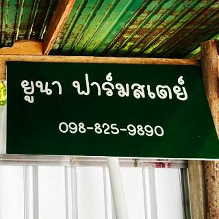 ยูนาฟาร์มสเตย์ ราชบุรีน้องหมาพักได้