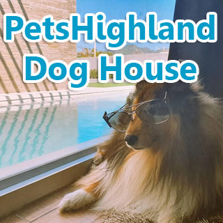 PetsHighland Dog House น้องหมาพักได้ ชะอำ