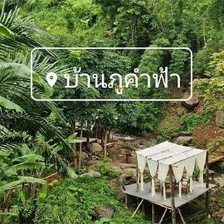 บ้านภูคำฟ้า เชียงรายน้องหมาพักได้