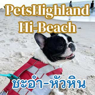 PetsHighland Hi Beach ชะอำน้องหมาพักได้