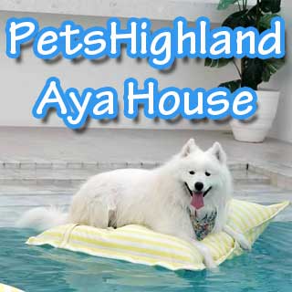 PetsHighland Aya House หมาพักได้ ชะอำ