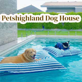 Pets Highland Dog House ชะอำน้องหมาพักได้