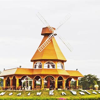 มวกเหล็กฮิลไซด์น้องหมาพักได้