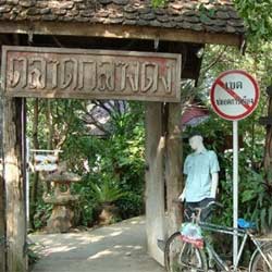 ตลาดน้ำกลางดง ตลาดน้ำศิลปะ น้องหมามาเที่ยวได้