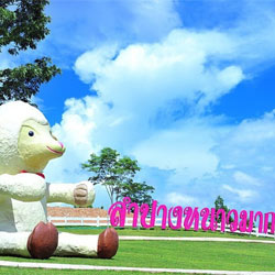 ฟาร์มแกะ Hug You ลำปางหนาวมาก น้องหมาเข้าได้