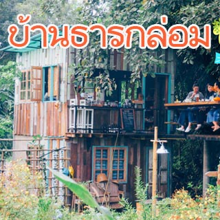 บ้านธารกล่อมน้องหมาพักได้ แม่แตง เชียงใหม่