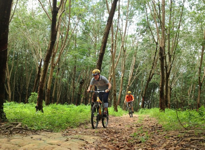 The Park Adventure เดอะปาร์ค แอดเวนเจอร์แลนด์ ระยอง น้องหมาพักได้