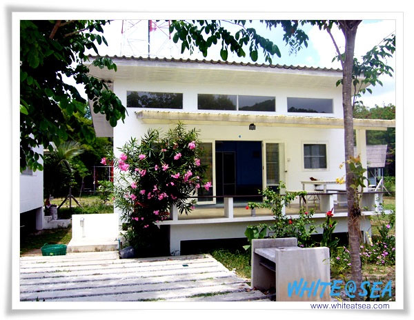 ไวท์แอทซี รีสอร์ท น้องหมาพักได้ อยู่หาดแม่รำพึง
