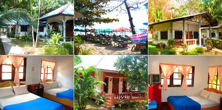 ไว้ท์แซนด์ รีสอร์ท ( White Sand Resort ) น้องหมาพักได้บนเกาะเสม็ด