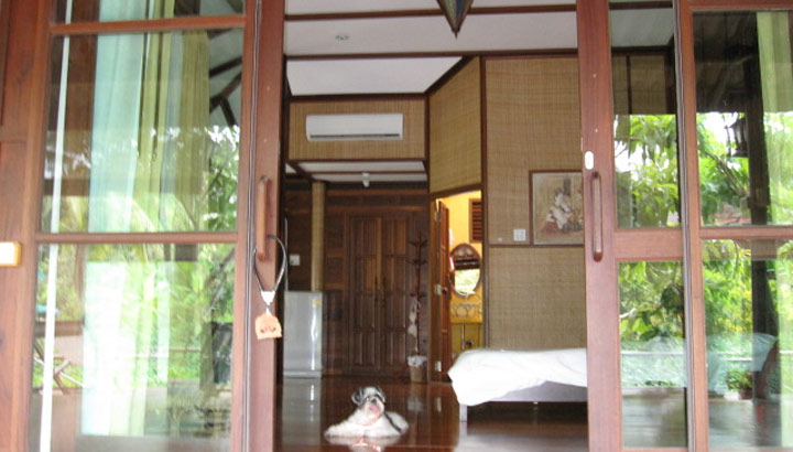 พาน้องหมาเที่ยวอัมพวาพักที่บ้านสวนลีลาวดี อัมพวา