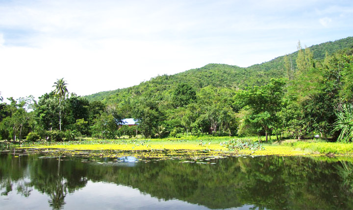 พาน้องหมาเที่ยว น้องหมาพักได้ที่ธารน้ำร้อนบ่อคลึง รีสอร์ท สวนผึ้ง ราชบุรี