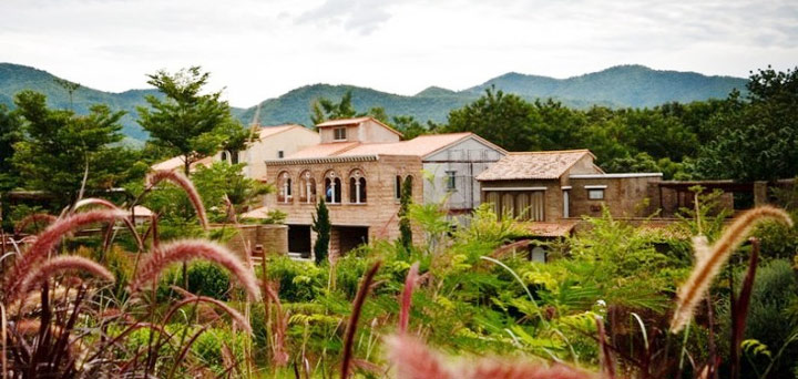 พาน้องหมาเที่ยวและพักได้ที่ลา ทอสคานา La Toscana สวนผึ้งราชบุรี