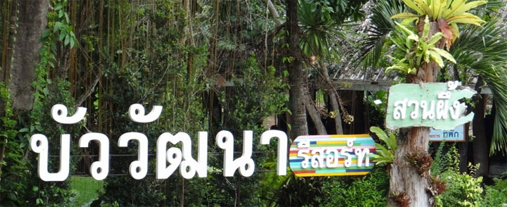 พาน้องหมาเที่ยวสวนผึ้ง ราชบุรี พักได้ที่บัววัฒนา รีสอร์ท