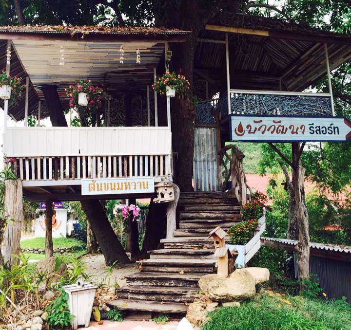 พาน้องหมาเที่ยวสวนผึ้ง ราชบุรี พักได้ที่บัววัฒนา รีสอร์ท