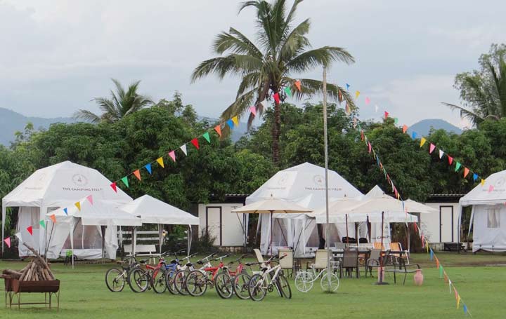 The Camping Field เดอะแคมป์ปิ้งฟีลด์ สวนผึ้งน้องหมาพักได้