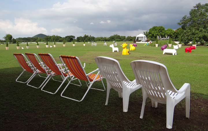 The Camping Field เดอะแคมป์ปิ้งฟีลด์ สวนผึ้งน้องหมาพักได้