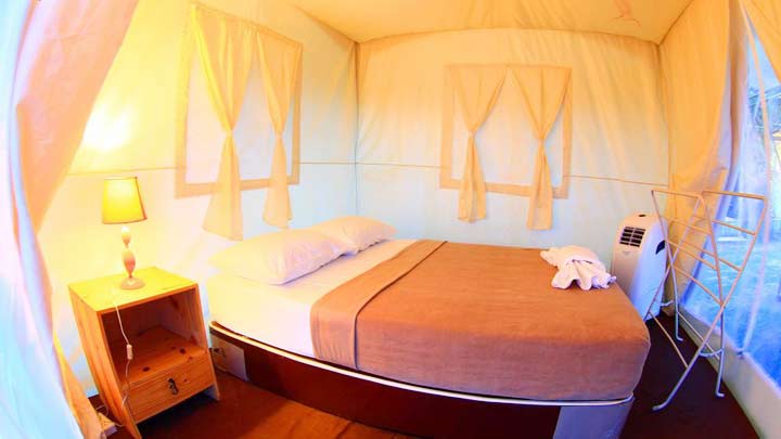 The Camping Field เดอะแคมป์ปิ้งฟีลด์ สวนผึ้งน้องหมาพักได้
