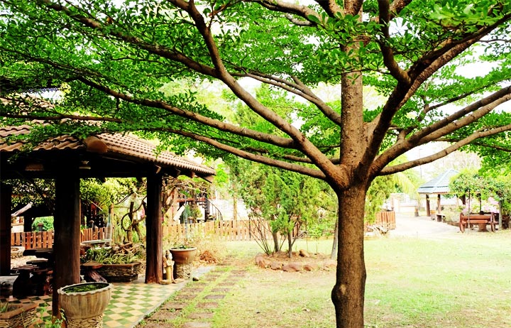 Wood Night Houseน้องหมาพักได้เชียงใหม่