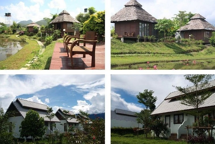 ปายธารารีสอร์ท อ.ปาย จ.แม่ฮ่องสอน น้องหมาพักได้