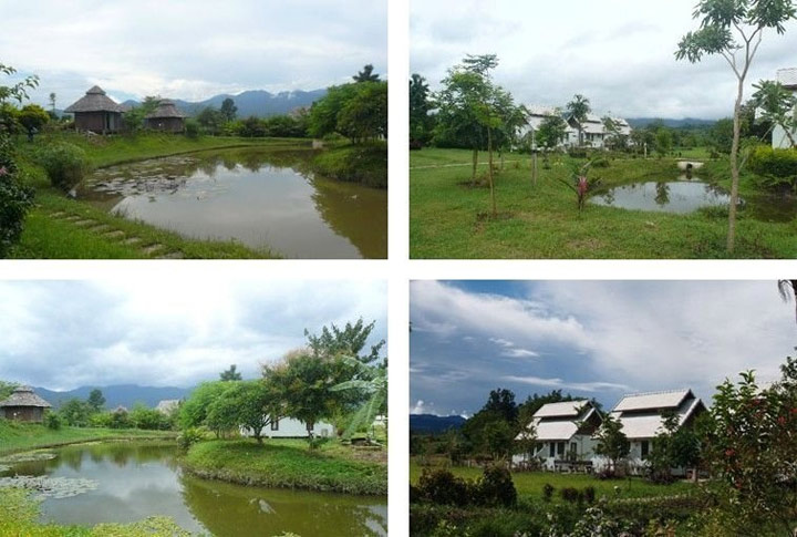 ปายธารารีสอร์ท อ.ปาย จ.แม่ฮ่องสอน น้องหมาพักได้