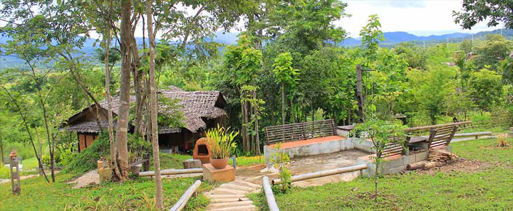 บ้านปายนา ปายตา น้องหมาพักได้