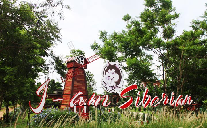ที่พักเขาใหญ่น้องหมาพักได้