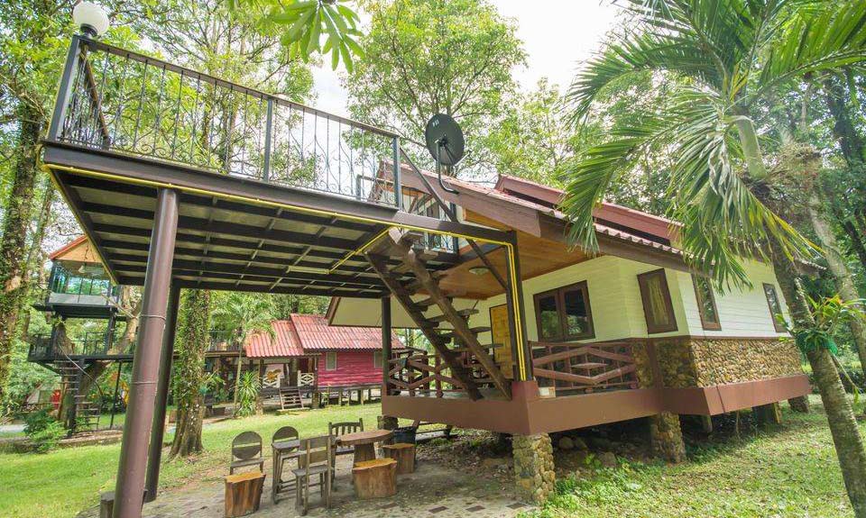 นครนายกหมาใหญ่พักได้