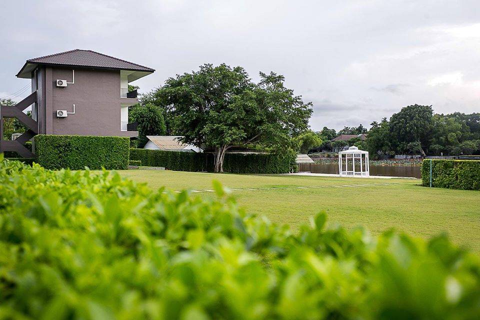 ที่พักเมืองกาญจน์หมาใหญ่พักได้