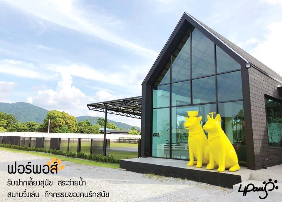 สระว่ายน้ำน้องหมาชลบุรี