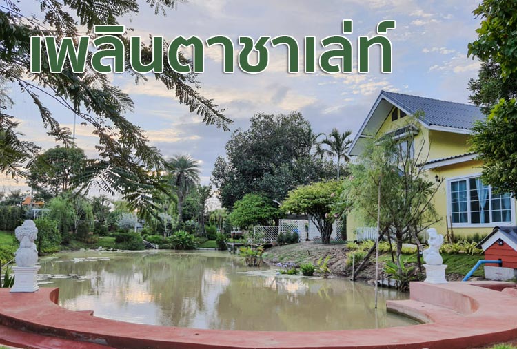 ที่พักอ่างทองน้องหมาพักได้