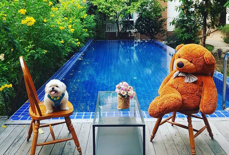 ที่พักใกล้สุวรรณภูมิน้องหมาพักได้