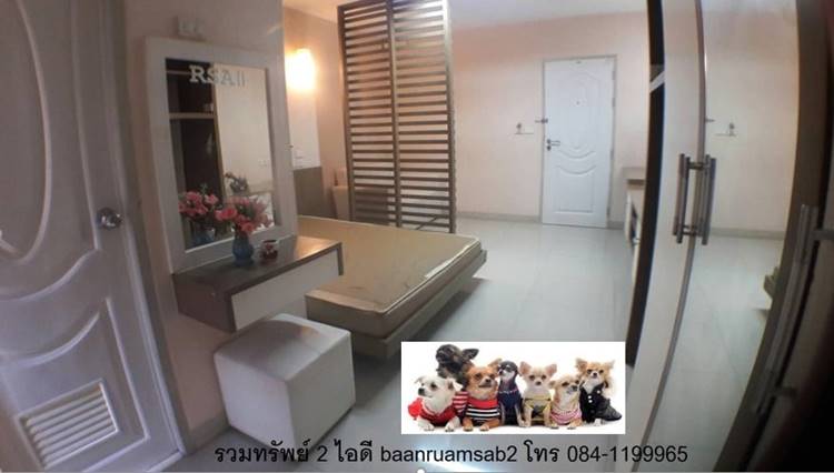ที่พักเขตห้วยขวางกรุงเทพหมาพักได้