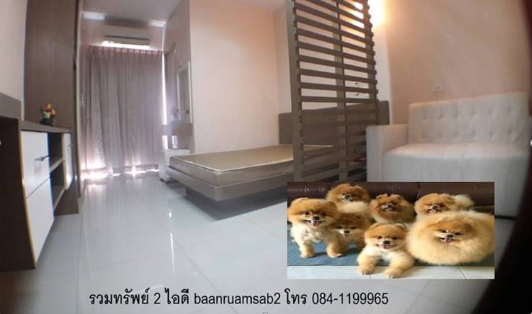 ที่พักเขตห้วยขวางกรุงเทพหมาพักได้