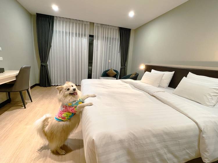 ที่พักพัทยาน้องหมาพักได้