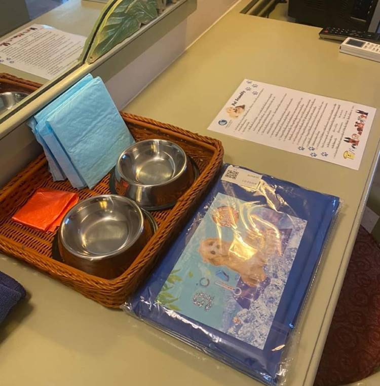 ที่พักติดทะเลพัทยา-บางละมุงหมาพักได้