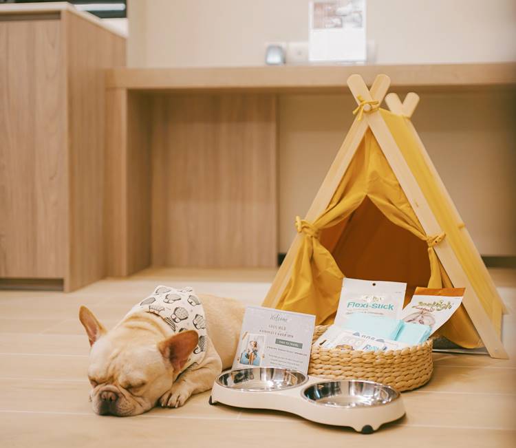 พัทยาน้องหมาพักได้