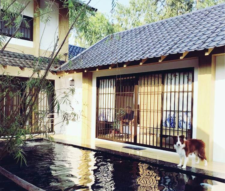 ที่พักสัตหีบน้องหมาพักได้