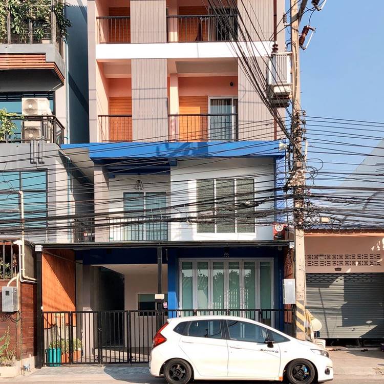 บางแสนหมาพักได้