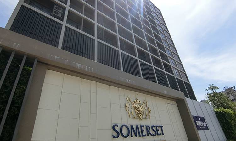ที่พักศรีราชาหมาพักได้