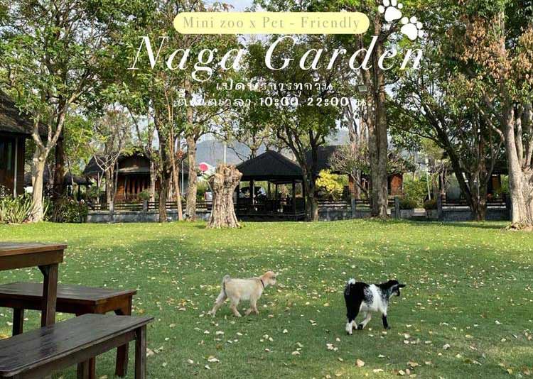 ที่พักใกล้หาดบางแสนชลบุรีน้องหมาพักได้