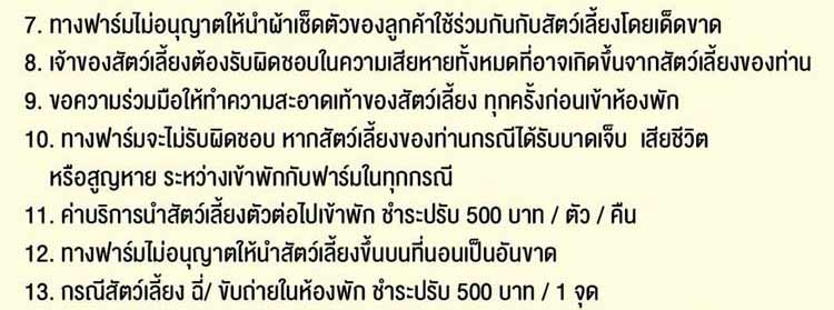 อรุณฟาร์มวิลเลจ ชลบุรีน้องหมาพักได้